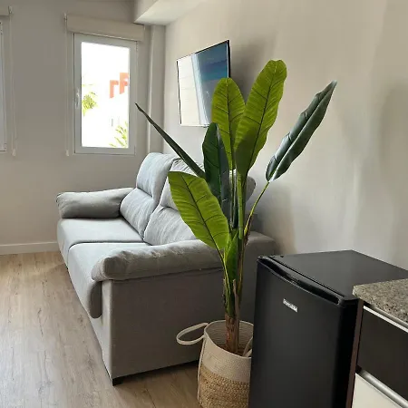 Paloma In Apartment